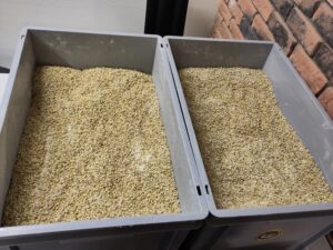 Mehr über den Artikel erfahren Vorbereitung ist alles – Malz schroten für den ersten Brautag mit dem Brewtower